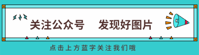 了解今年会体育包含开发者社区动态显示，区块链安全成为全球关注焦点的词条