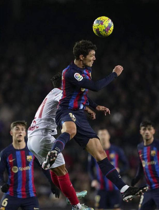 热刺主教练弗兰克简历